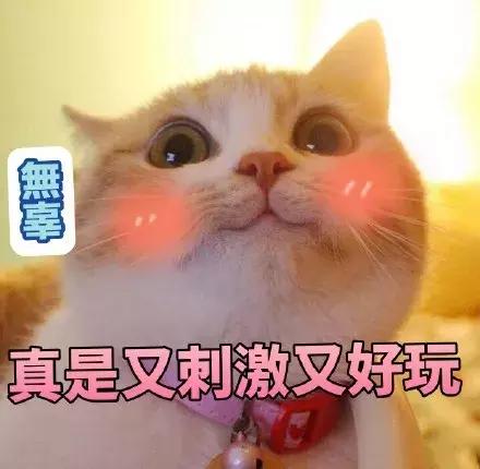 每秒卖出三瓶的倩碧小黄油，为什么就你用着闷痘出油？