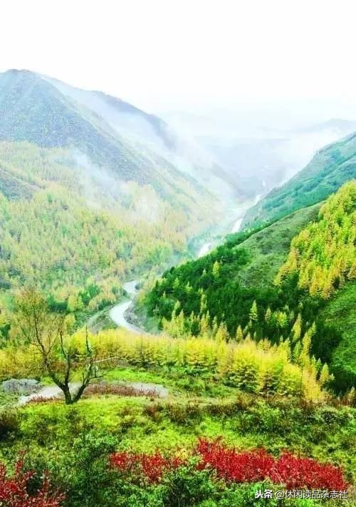 追忆历史，六盘山上的毛*东泽**