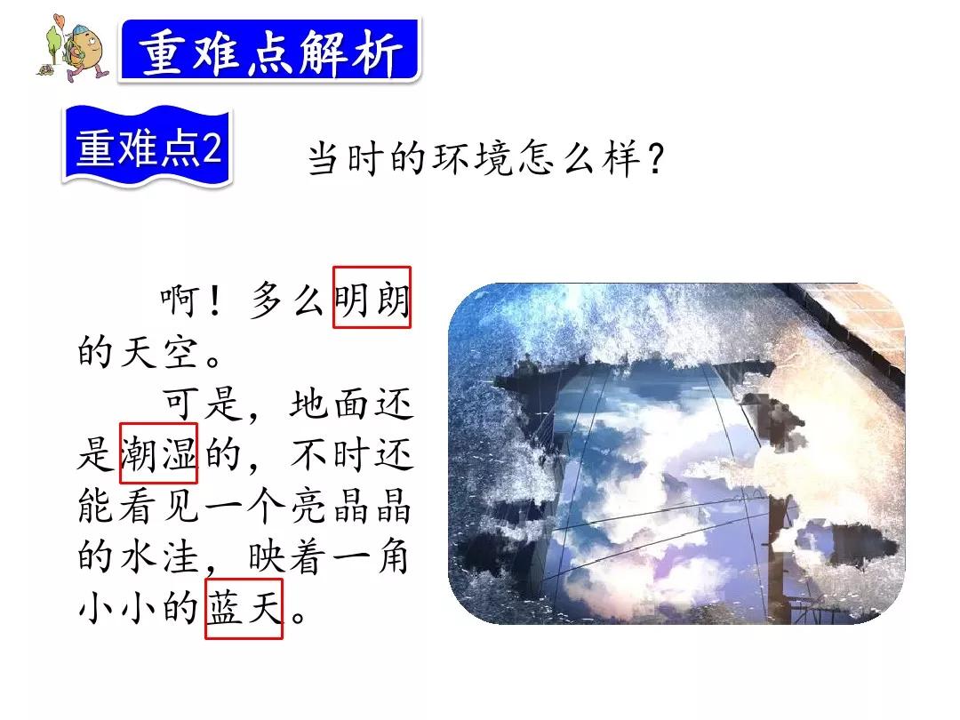 小学部编版三年级上册语文5课,三年级上册语文第5课水泥道朗读