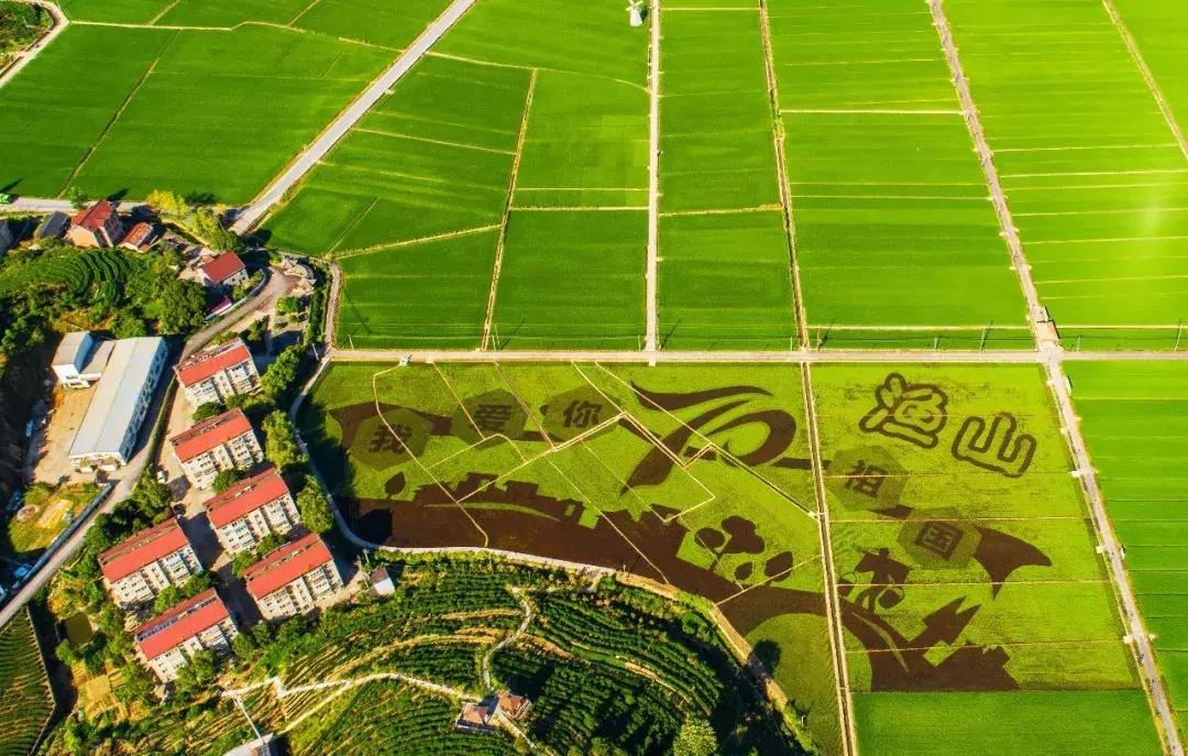 震撼!钱塘江畔出现巨型画作,有28个足球场这么大!