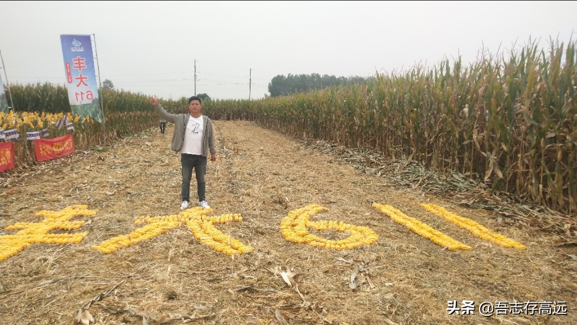 丰大611观摩会,热烈祝贺大会顺利召开视频