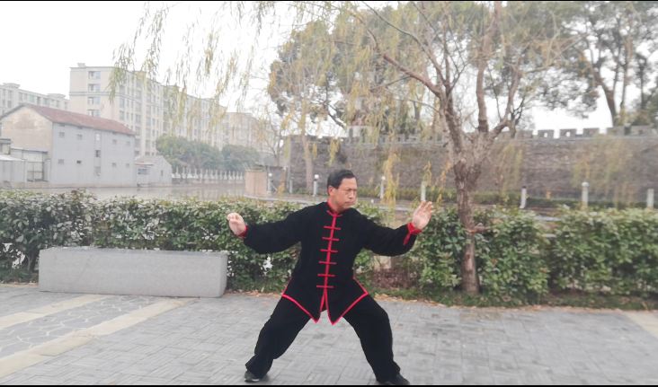 初学太极拳的打法,太极拳入门自学内家拳教程