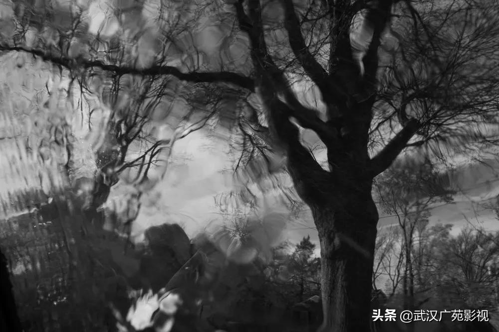 黑白摄影的魅力教案,黑白摄影的特殊魅力美术鉴赏