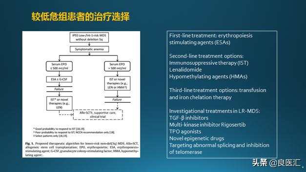 尿多酸肽（喜滴克）为低中危MDS患者开辟治疗新道路