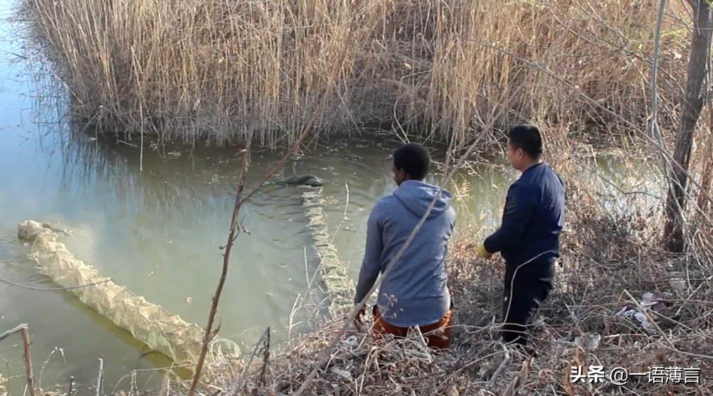 小帅潜海捕鱼,小帅在大海里钓大鱼