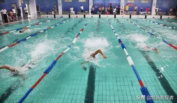 教你蛙泳技巧,蛙泳技巧全部