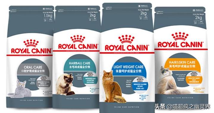 10岁的铲屎官和1岁的猫主子的日常,猫娃子的铲屎官