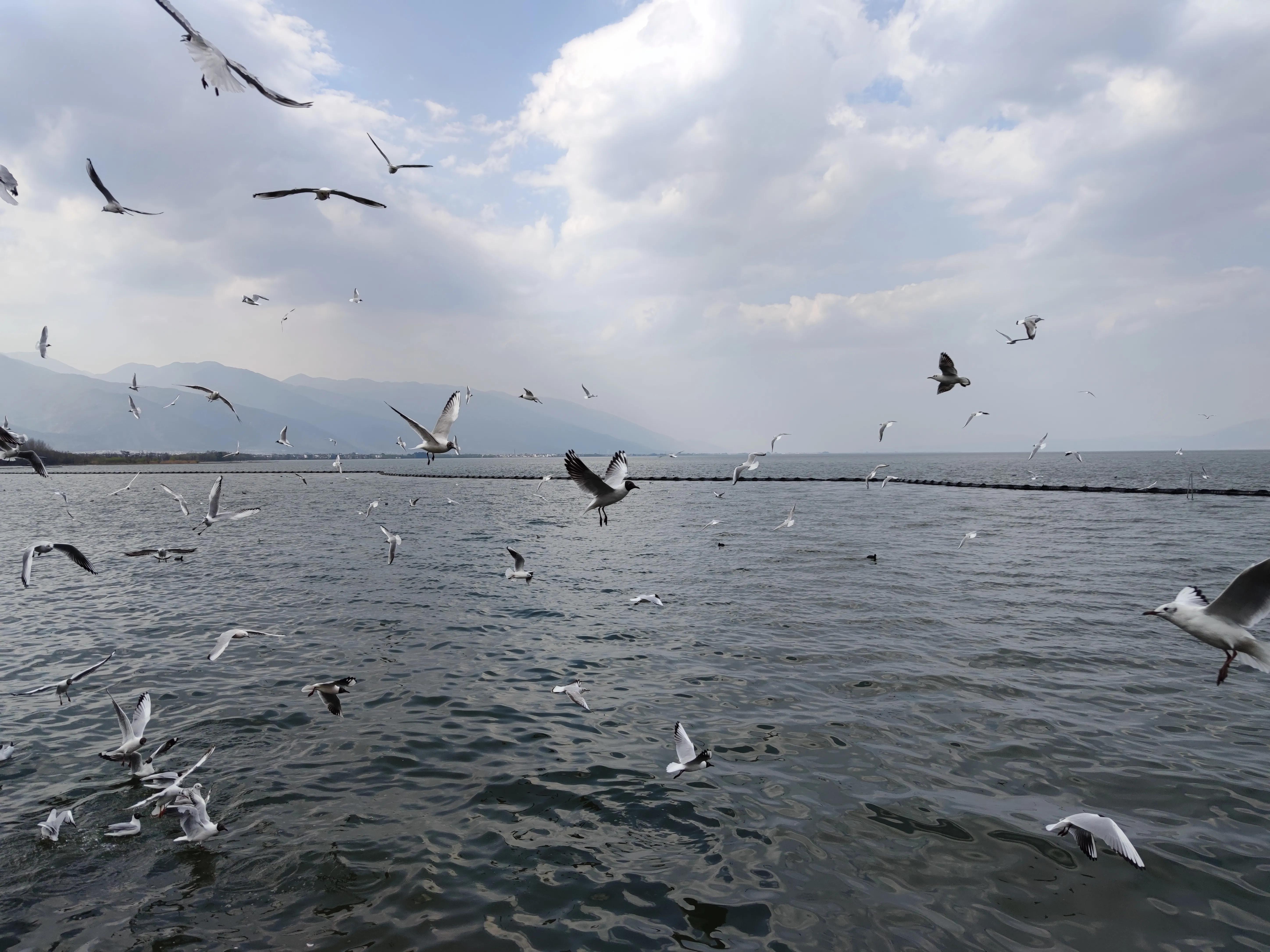 云南大理洱海龙龛古渡码头,云南洱海龙龛码头人多视频