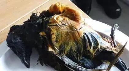 外国奇葩美食,外国最奇葩的美食