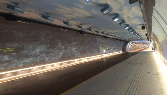 珠海是一座浪漫的休闲城市,珠海哪个区环境最美丽最好