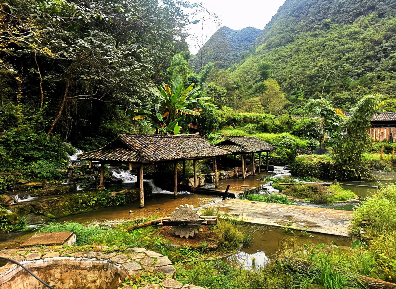 茂兰喀斯特原始森林徒步穿越,茂兰喀斯特森林之旅