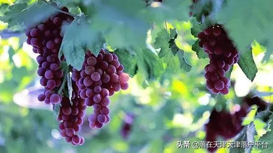 为啥都在滨海买房子房价又不便宜,在滨海新区买房的42个理由