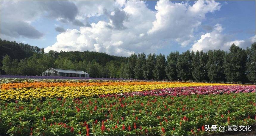 张家界慈利新项目,张家界慈利江垭的新项目