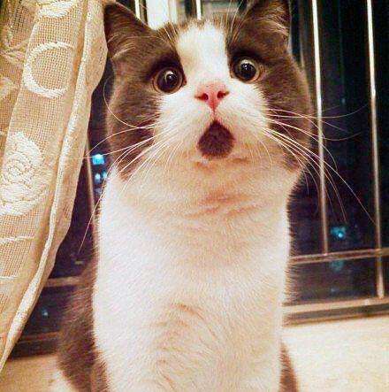 奢侈品最值得买的包,lv必买十大经典款包有哪些