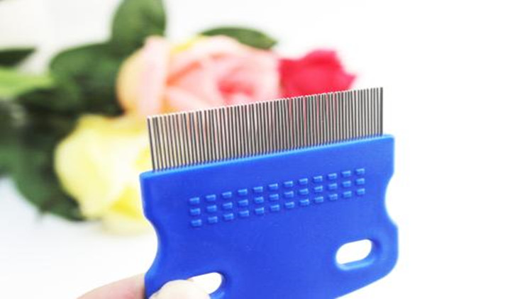 如何有效的治理跳蚤,教你6招彻底消灭跳蚤