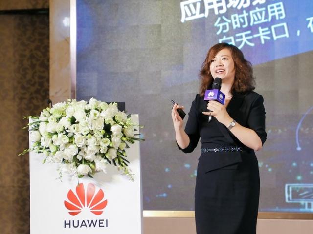 华为安防销量,华为为什么进军安防