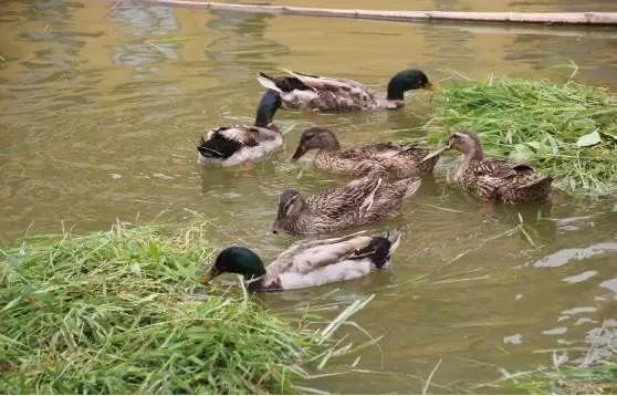 假期到处堵,周末双休哪里旅游堵