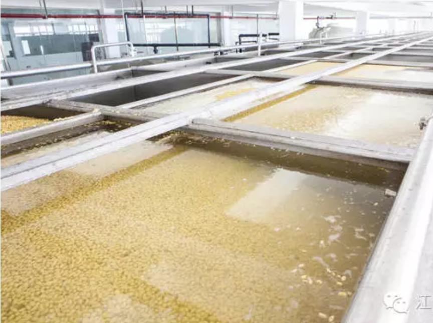 会昌特色小吃有哪些,会昌有什么特色小吃