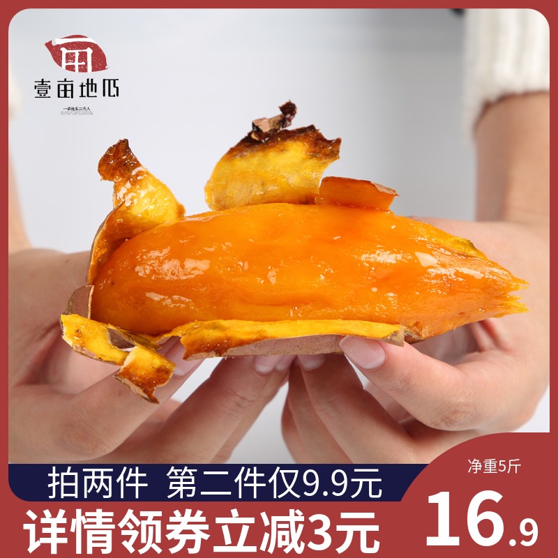 2020年2月好物分享,2021年好货推荐