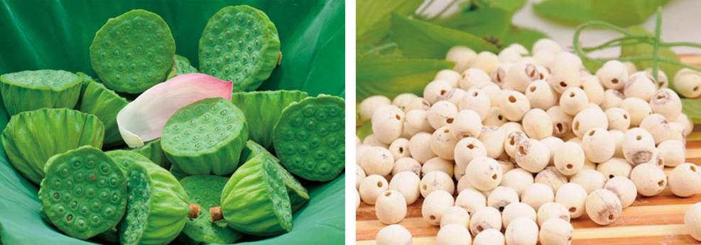 部编版语文一二三年级古诗文汇总,语文部编版二上古诗二首