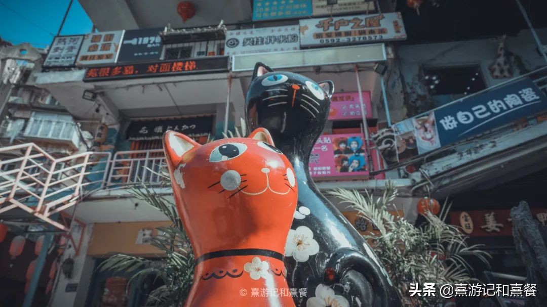 去厦门必须体验的六件事,送给第一次去厦门的五点建议