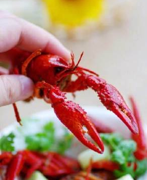 剥虾师工资,专业剥虾师