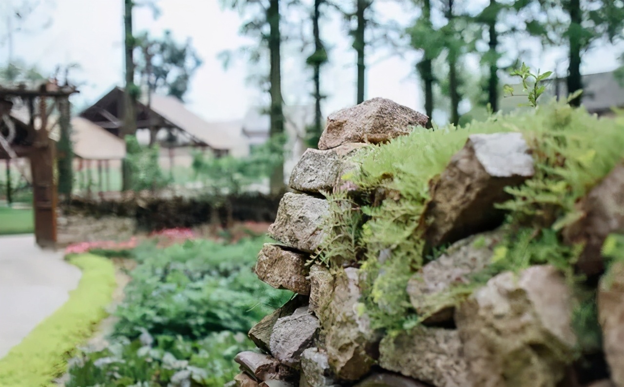 乌村两日游攻略,乌村生态观光游