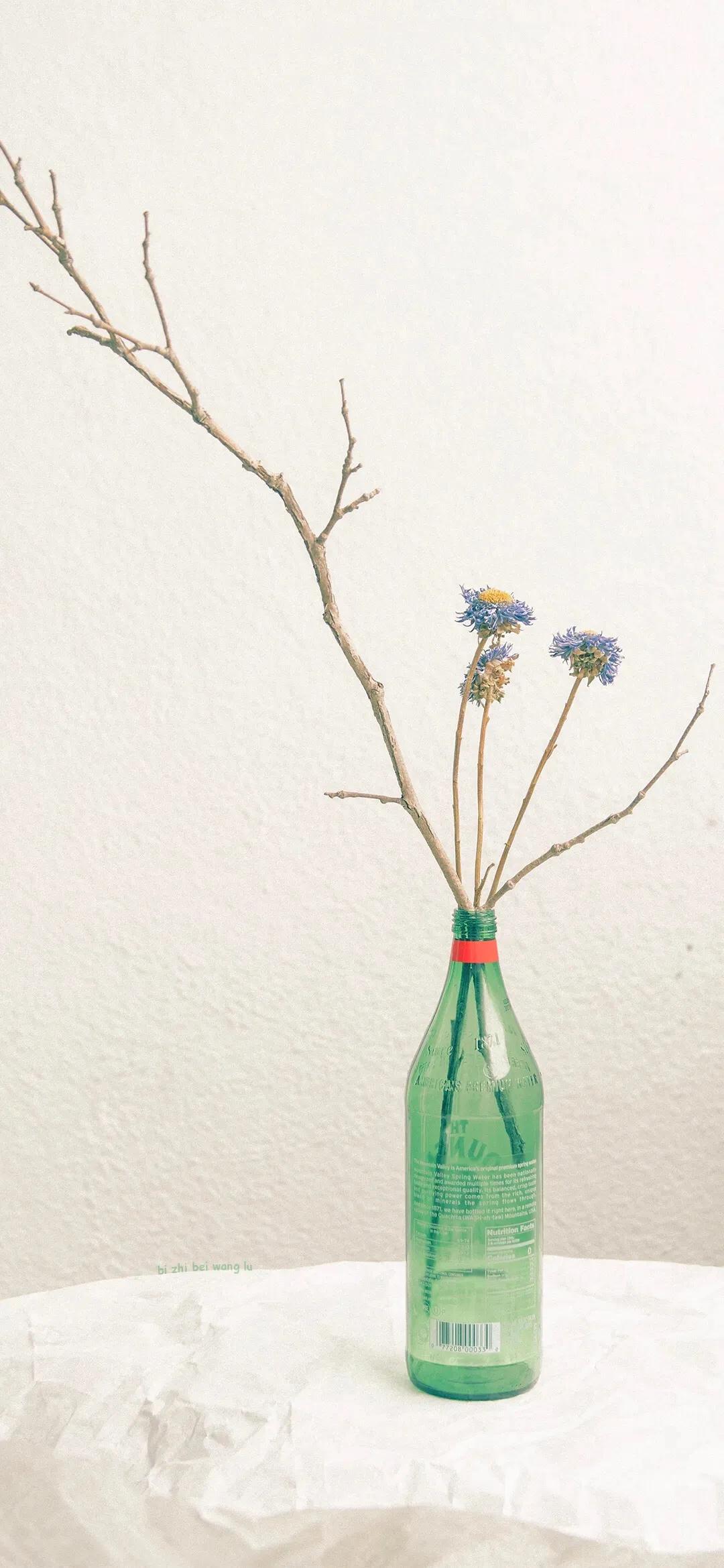 ipadpro12.9寸壁纸高清卡通,手机壁纸大全卡通高清无水印