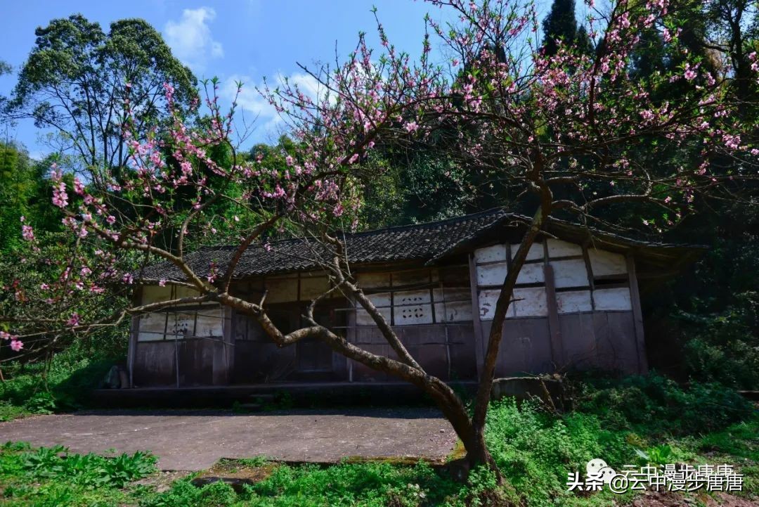 四川岳池黄龙水库,岳池黄龙杨家沟水库