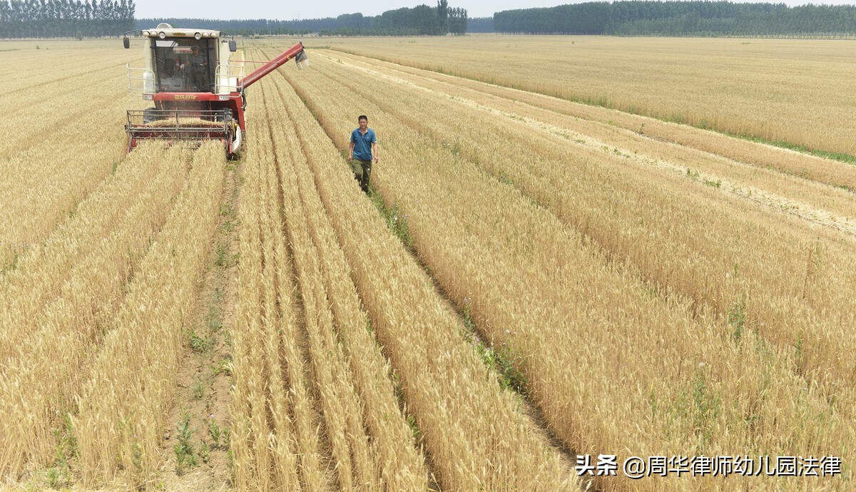 幼儿园工作值得继续吗,幼儿园行业还能干吗