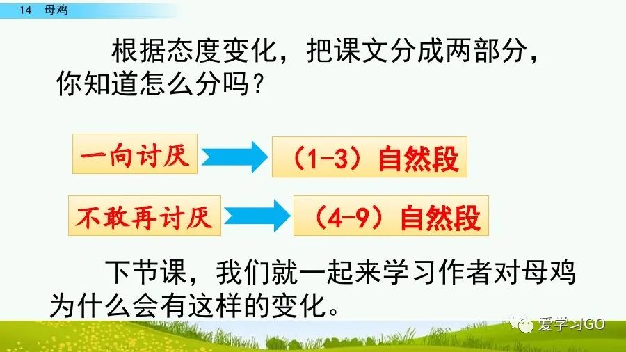 四年级下册语文母鸡课文重点讲解,四年级下册语文14课母鸡重点知识