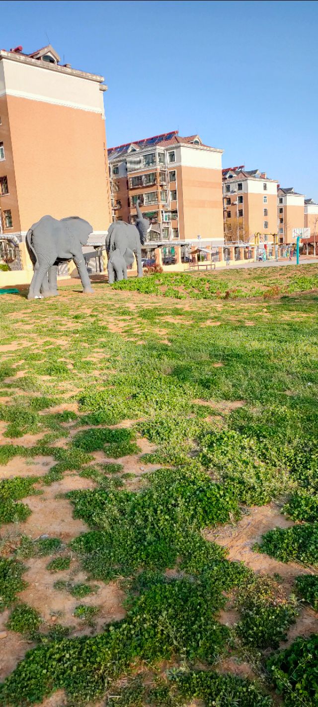 鲍山花园可以游玩的地方,鲍山公园跑步