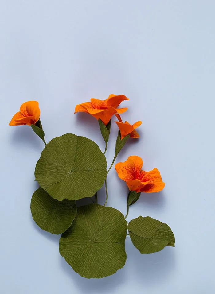 皱纹纸diy手工花朵,手工制作皱纹纸立体花