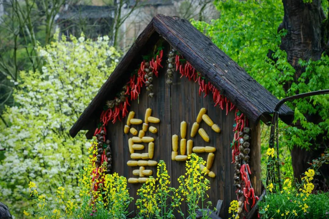 这才是中国最美的乡村,最值得去的鲜花小镇