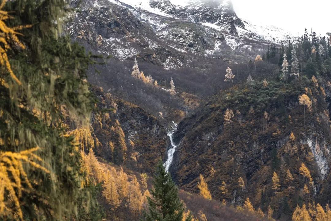 绫充簹缃楅湼鐜嬪北鏃呮父瑙嗛,绫充簹缃楅湼鐜嬪北鍏ㄦ櫙