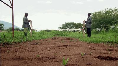 体型最大的鼠类排名,世界上最大的鼠类有多大