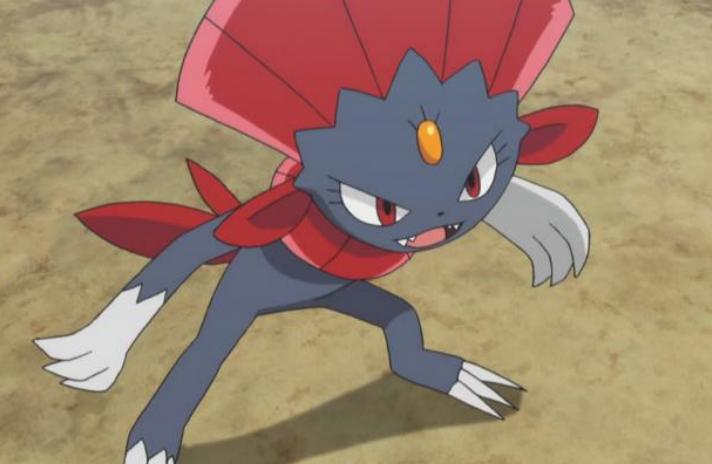 宝可梦朱紫狃拉多少级进化好,宝可梦狃拉弱点