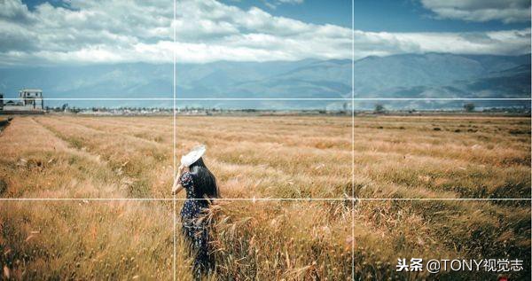 摄影构图黄金螺旋线构图法,构图法则教程