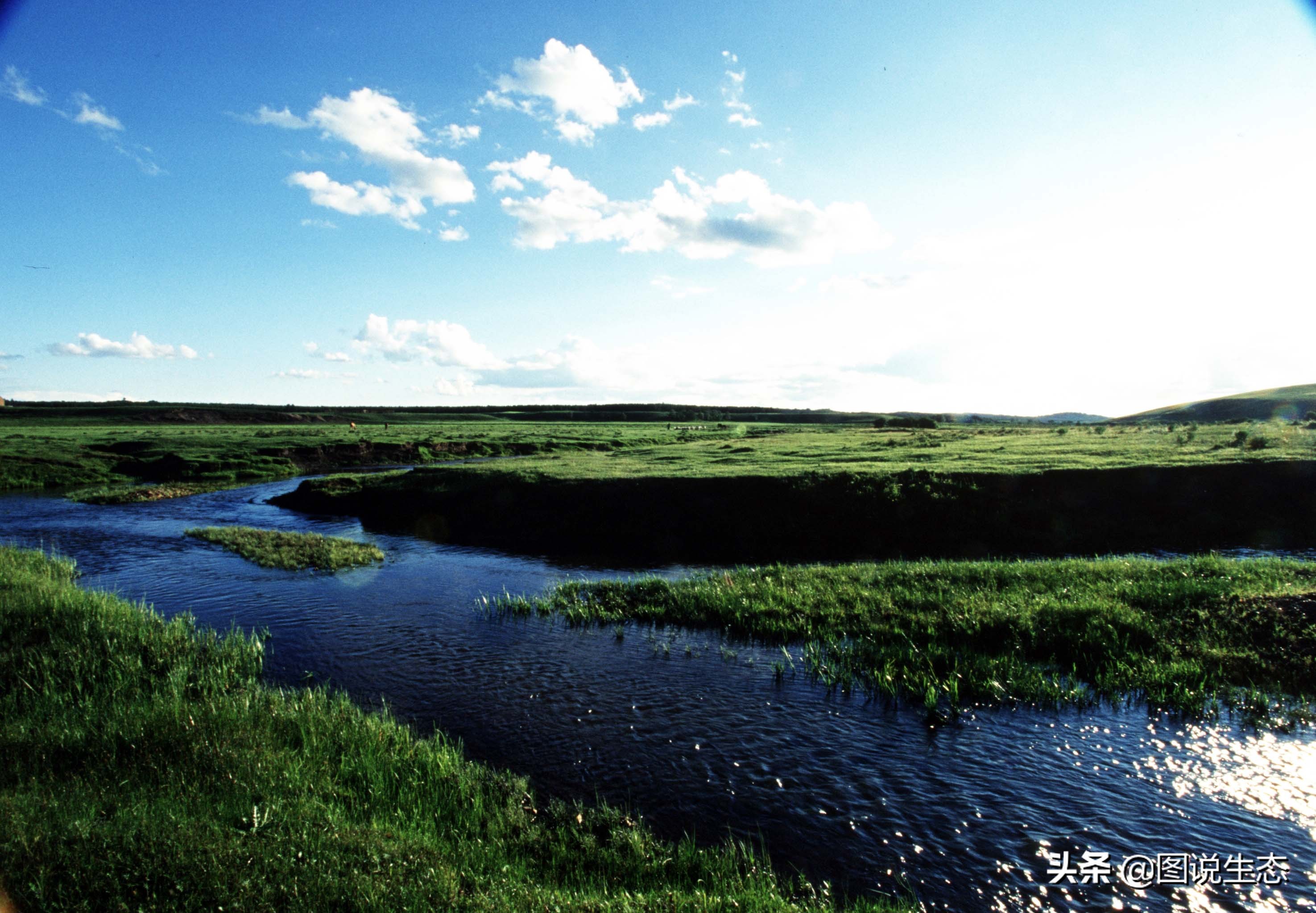 写出最真实的塞罕坝，永远是居住在塞罕坝的主人，请听他们如何说