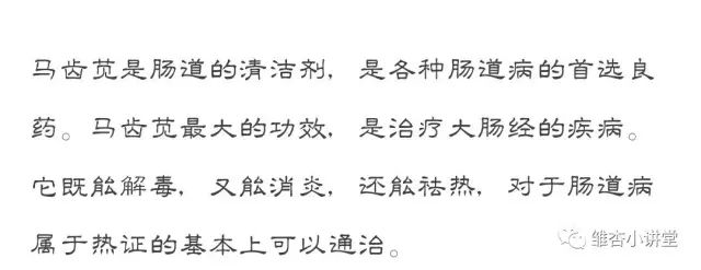 马齿苋专治白发是真的吗,马齿苋对白头发变黑有作用吗