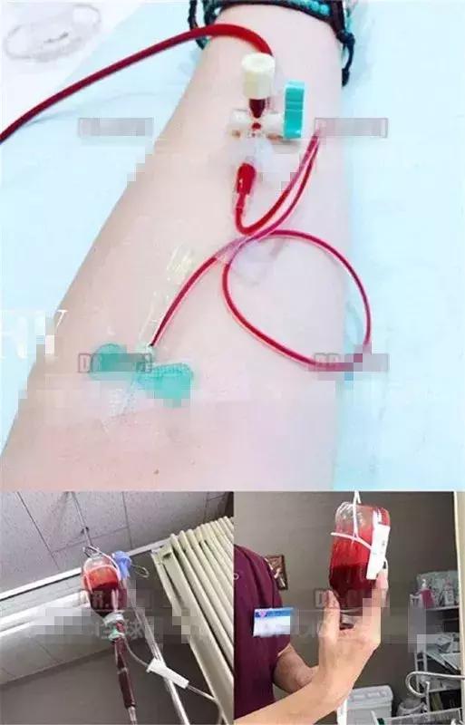 那些坑爹的网红减肥方法大揭秘,跟着女明星吃什么可以瘦