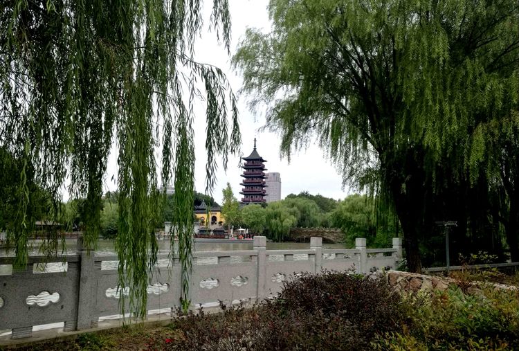 岁月不老我们不散全文,岁月不老我们不散什么意思