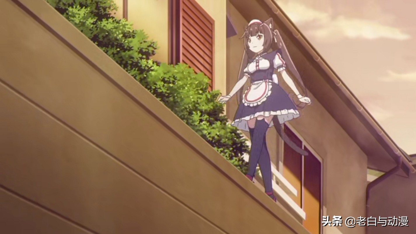 这才是猫奴必看动漫,动漫猫娘超可爱