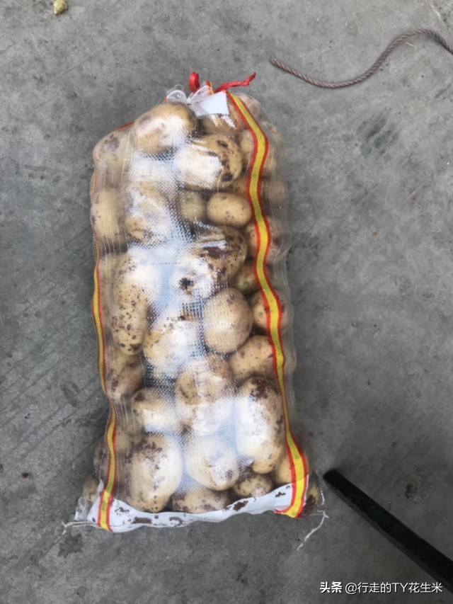 昆明王旗营今日蔬菜价格批发,今天昆明市王旗营蔬菜批发价格