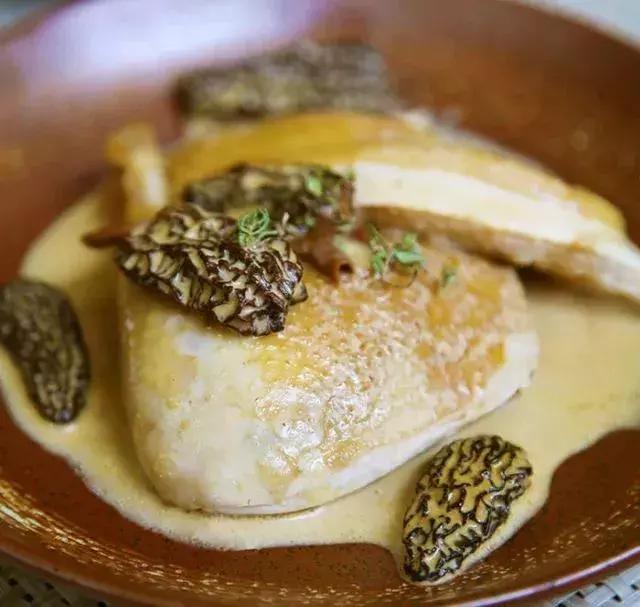 无毒野生菌图鉴大全,见手青野生菌可以吃的种类