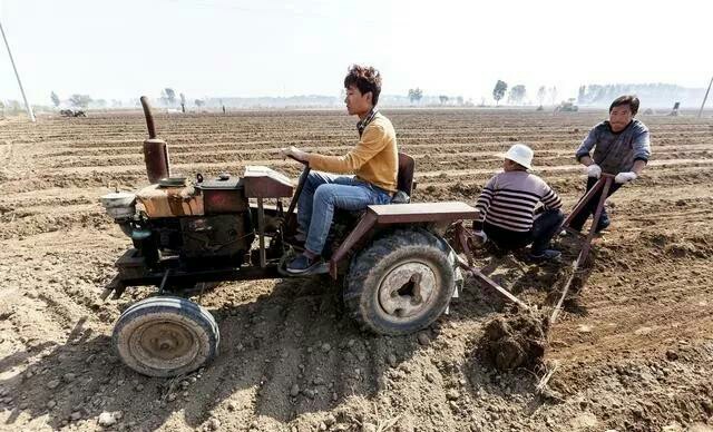 什么小厂子好找销路,农村家庭开个什么小厂子能挣钱