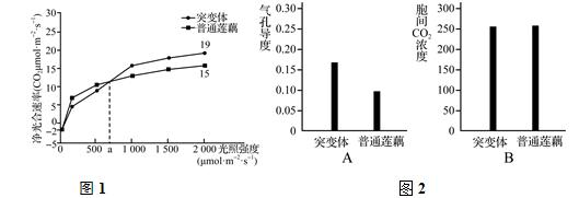 生物期中考选择题必考知识点,2017年生物期中考试题