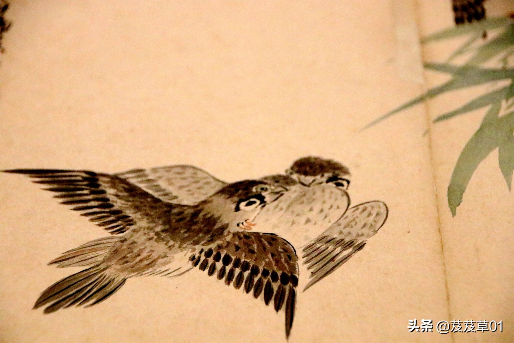 人穷志短但不能失去做人的准则,人穷志不短上一句怎么说