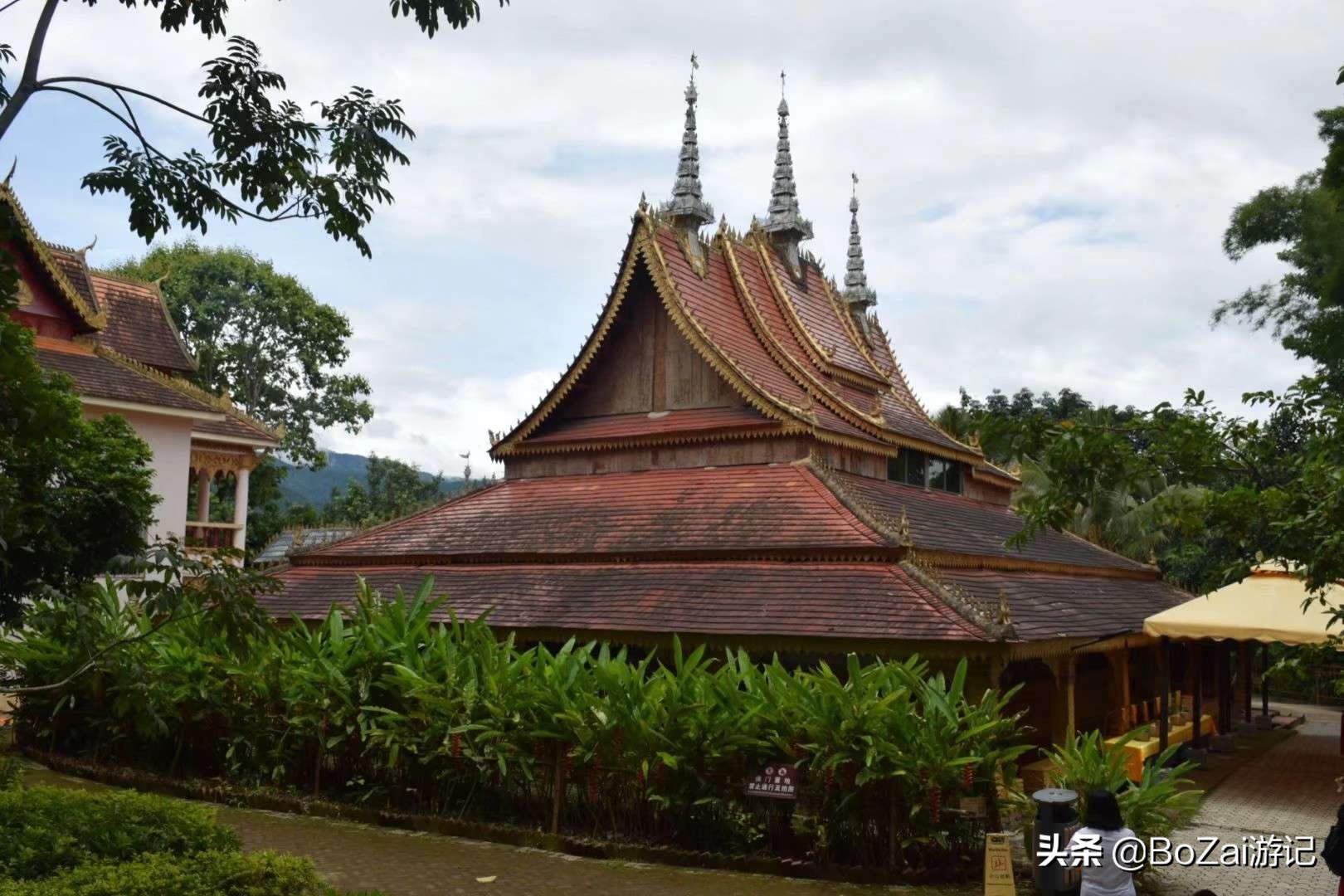 云南西双版纳到文山途经哪些景点,西双版纳适合6-12岁儿童的景点