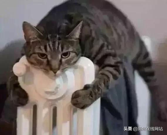 滑县首个集中供暖小区这里温度飙升20℃!热嘞慌